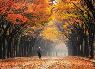 8 địa điểm du lịch Incheon đẹp đến mê mẩn quên lối về