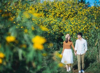 Đà Lạt tháng 10 vàng ươm mùa hoa dã quỳ