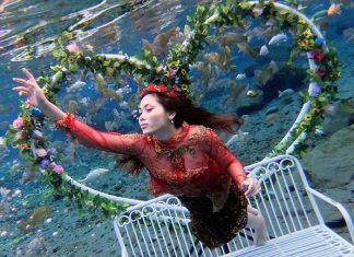 Biến ao nước ô nhiễm thành ngôi sao mạng xã hội ở Indonesia