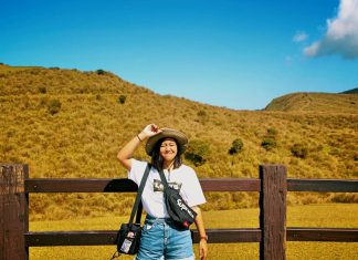 Nông trại cừu và 6 điểm ngắm lá vàng đẹp mê hồn gần Việt Nam