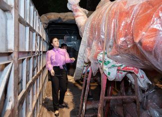 Kim Thư tất bật đến tận khuya chuẩn bị tôm khổng lồ trang trí nhà hàng sắp khai trương