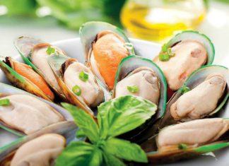 Vẹm xanh New Zealand: Báu vật dưới mặt nước, giá bán tới gần nửa triệu/kg vẫn đắt khách