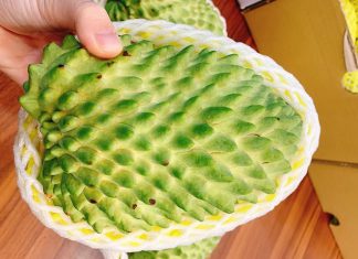 Quả na có vị sầu riêng to khổng lồ có giá bán gấp 15 lần na thường được người tiêu dùng lùng mua