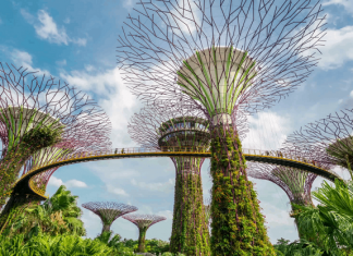 Du lịch Singapore: Khám phá khu vườn trên cao Gardens by the bay