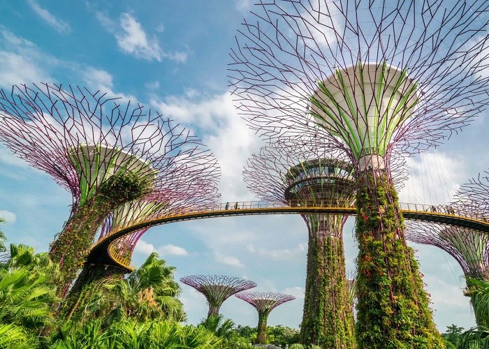 Du lịch Singapore: Khám phá khu vườn trên cao Gardens by the bay -  SaoExpress
