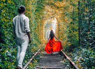 Chiêm ngưỡng đường hầm tình yêu đẹp như phim điện ảnh ở Ukraine