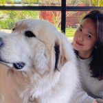Song Hye Kyo lộ diện sau 20 ngày trở về từ Milan, gây chú ý vì khoảnh khắc này